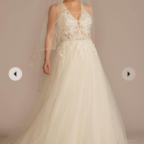 David’s Bridal Dress